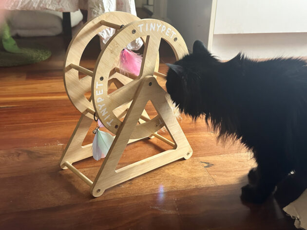 Image of a fluffy black cat sniffing a mini carousel cat toy.